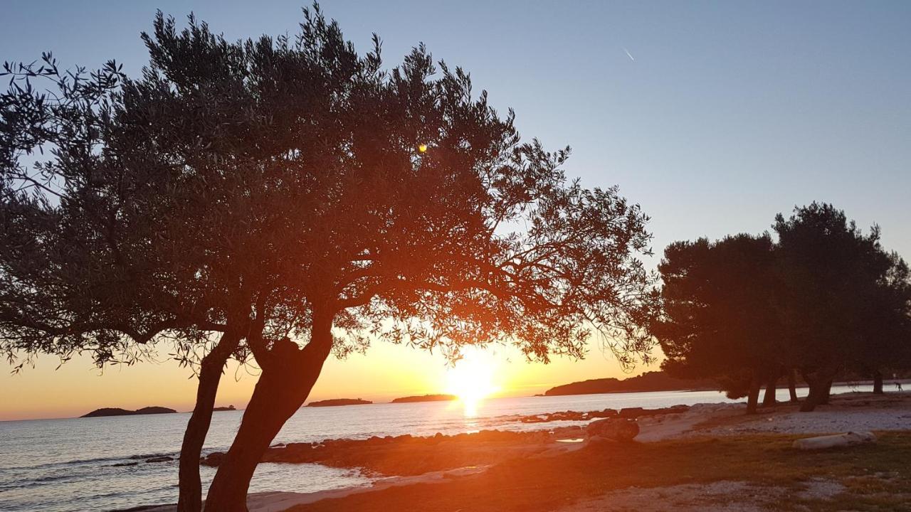 Alea * Rovinj